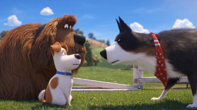 The Secret Life of Pets 2 | The Little Binger | Credit: United International Pictures